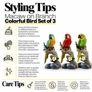 Macaw on branch bird set of 3 styling tips and care tips