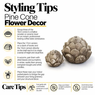 Pine cone flower decor styling tips and care tips
