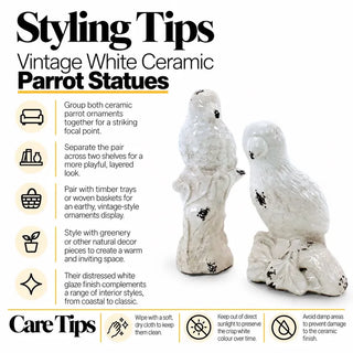 Vintage white ceramic parrot statues styling tips and care tips