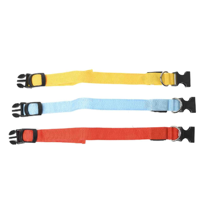Pet fashion meets safety with an adjustable LED night collar