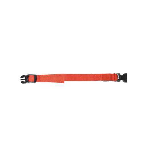 Vivid red LED collar warmly glowing, offering both safety and regal style during a serene night stroll.