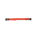 Vivid red LED collar warmly glowing, offering both safety and regal style during a serene night stroll.