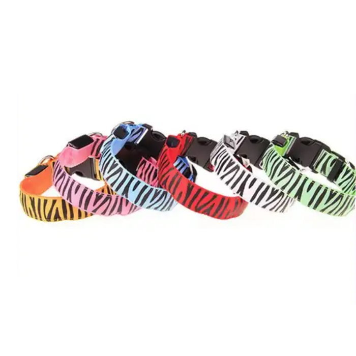 Adjustable nylon dog collar in zebra print with light