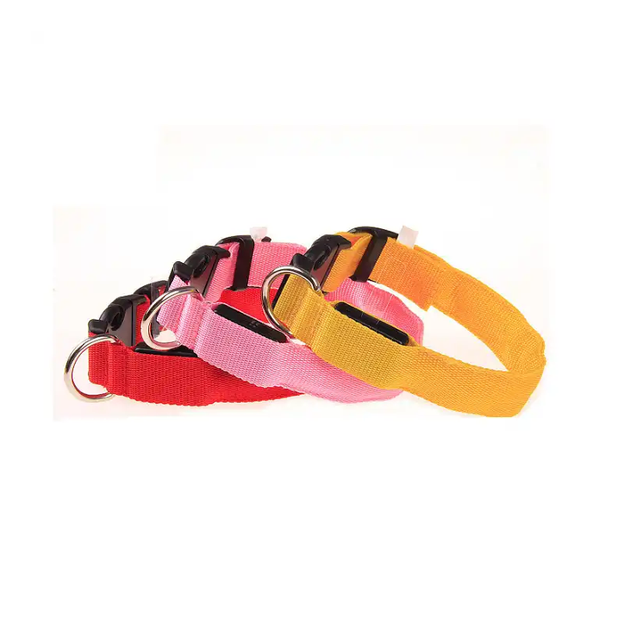 LED collar sparking joy and visibility