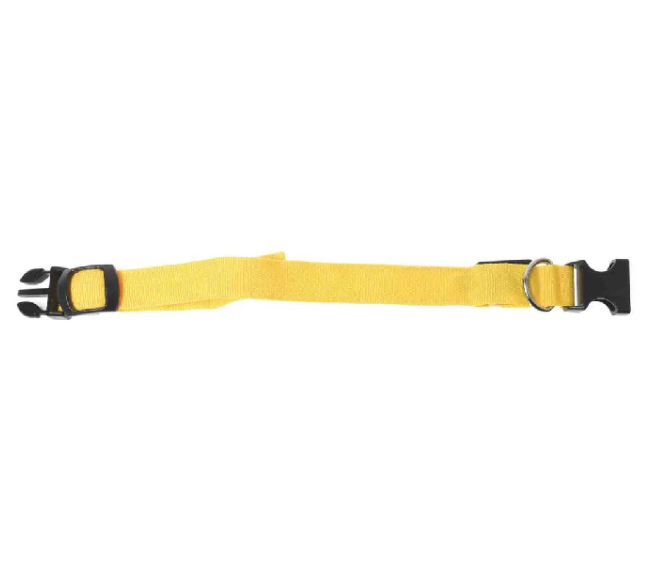 Bright yellow LED collar 