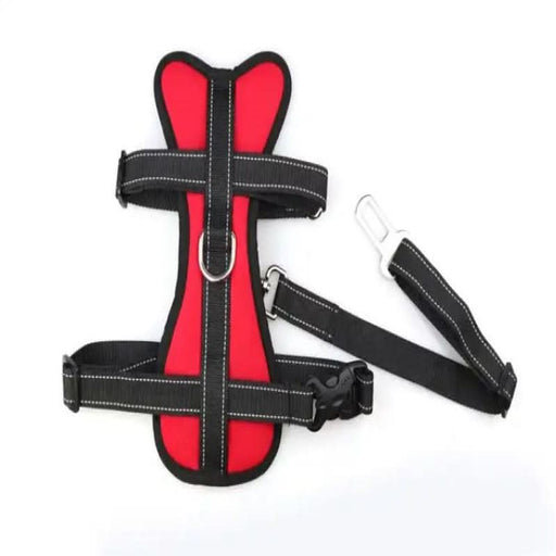 Safe, secure, and stylish - The ultimate travel gear for pets