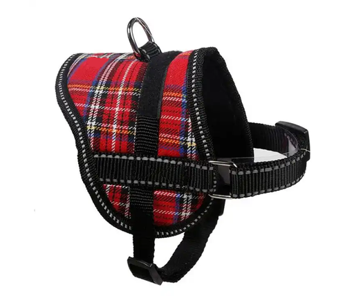 Navigate your journey hands-free with our chic Embrace Adventure leash
