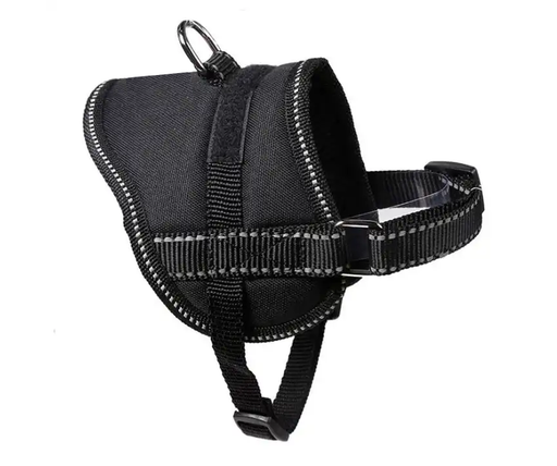 Freedom in motion with Embrace Adventure leash – Explore with style